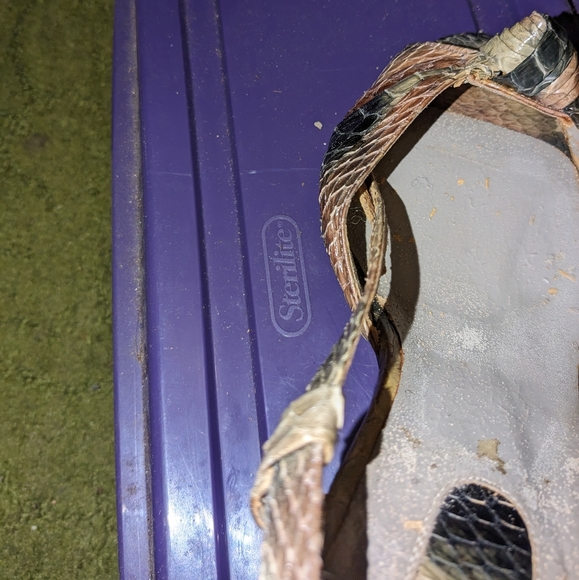 Women's Snakeskin Strap Heels by Andrew Gellar (Used) - Picture 4 of 11